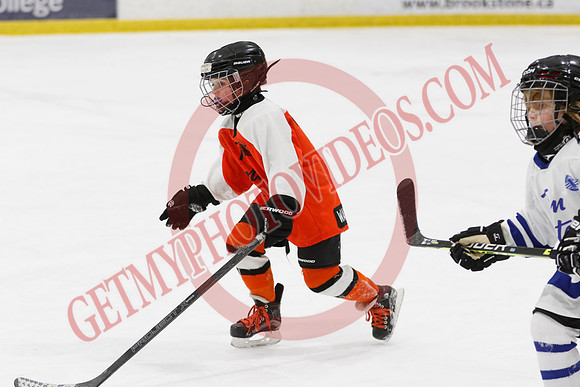 _63A2233_11 45 am - U8LL2 - West Niagara Leafs vs Wainfleet Wild - YELLOW B