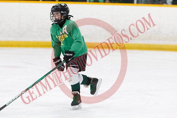 _63A2879_9 00 am - U11 - Millbrooks Stars vs Quite West World Elite Hockey Academy - Pad B