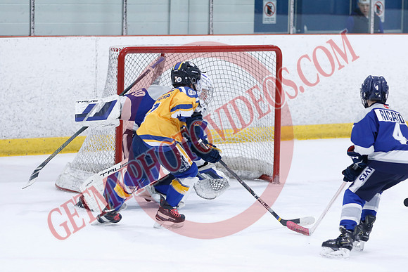 _63A0107_10 15 am - U12A - Collingwood Jr Blues vs Sudbury Wolves - NewRoads