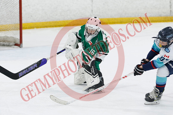 _63A9795_1 45 pm - U11B - Wasaga Stars vs South Simcoe Storm - NewRoads