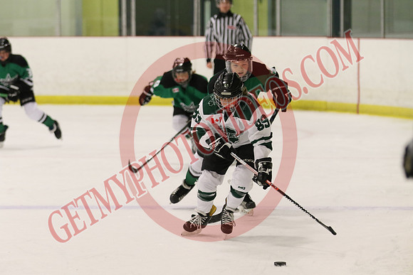 7Z7A0238_9 30 am – U13 PA – St Thomas Stars vs Hespeler Shamrocks – Eastlink