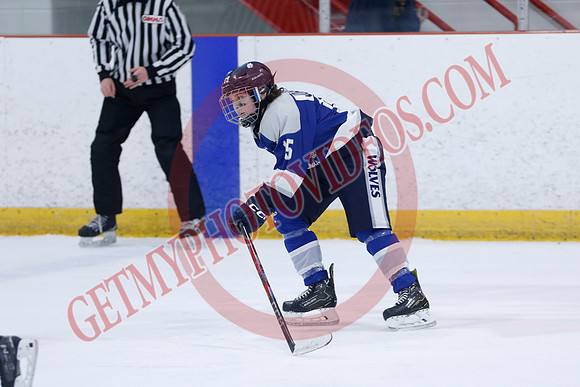 _63A8672_10 15 am - U12A - Collingwood Jr Blues vs Sudbury Wolves - NewRoads
