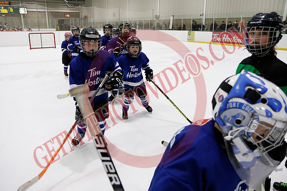 _63A8499_11 00 am - U7D2 - Port Colborne Blue vs Cayuga Stars Green - GREEN A