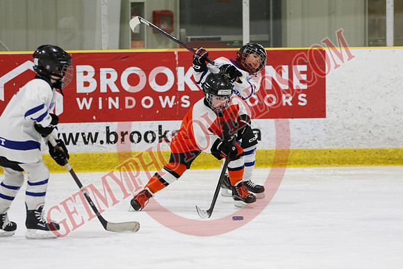 _63A2109_11 45 am - U8LL2 - West Niagara Leafs vs Wainfleet Wild - YELLOW B