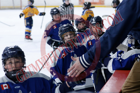_63A0309_10 15 am - U12A - Collingwood Jr Blues vs Sudbury Wolves - NewRoads