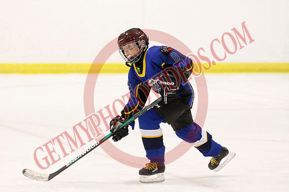 _63A7490_8 15 am – LL2 – Lambeth vs Delhi - Eastlink