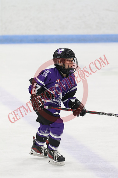 20240531-7918_12 20 pm - U12 A - Talbot Trail Blazers vs London Jr Mustangs White - MEM