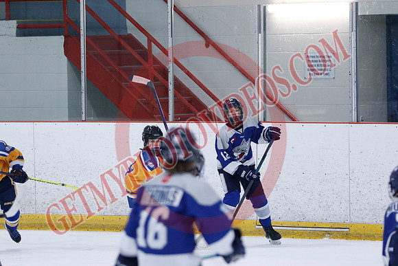 _63A8252_10 15 am - U12A - Collingwood Jr Blues vs Sudbury Wolves - NewRoads