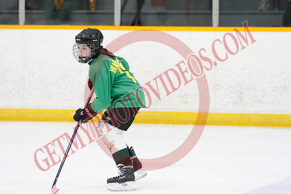 _63A2734_9 00 am - U11 - Millbrooks Stars vs Quite West World Elite Hockey Academy - Pad B