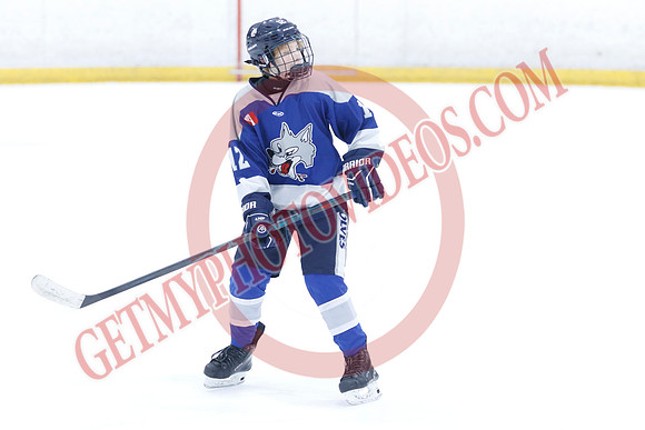 _63A8826_10 15 am - U12A - Collingwood Jr Blues vs Sudbury Wolves - NewRoads