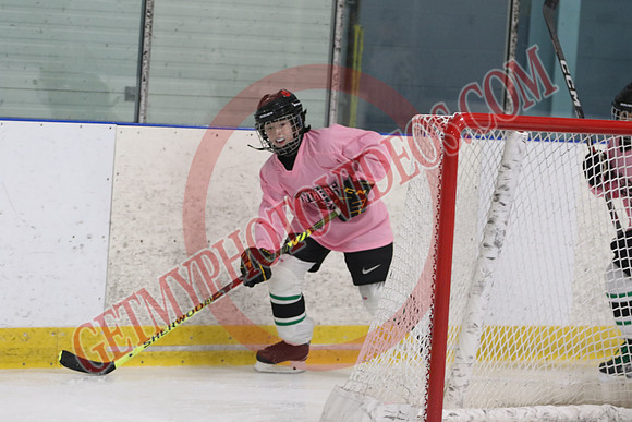 7Z7A3558_8 45 am – U13 – SF – Mount Brydges Cougars Gold vs Pelham Panthers 2– Tri-Township