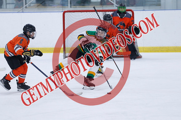 _63A9690_11 05 am - 2014 - Shamrock Selects vs River Rat Hockey - Sel