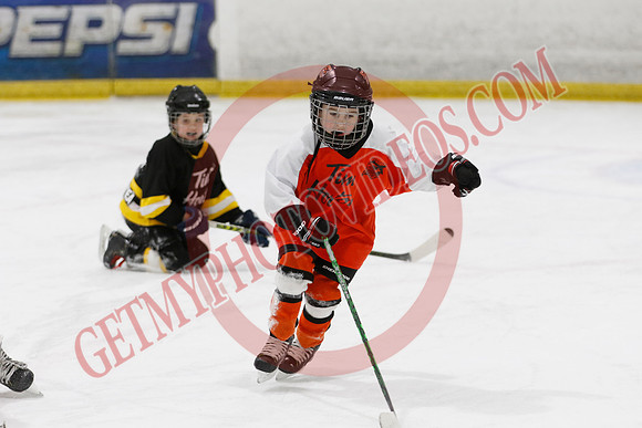 _63A1761_9 15 am - U8LL2 - Wainfleet Wild vs Waterford - BLUE A