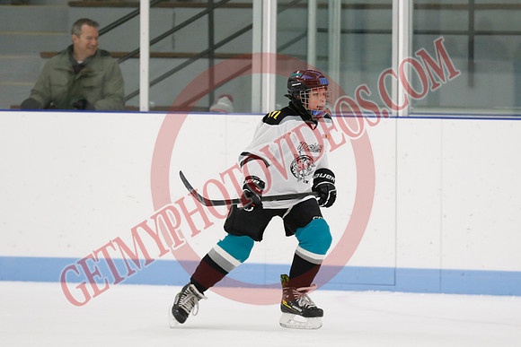 _63A0924_10 00 am - U11 SL - Ted Reeve Tornados vs Lindsay Muskies