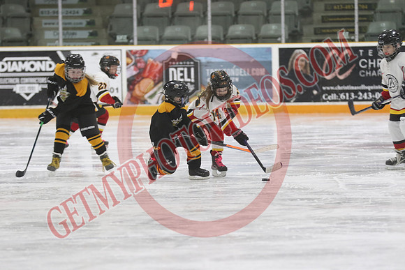 7Z7A3919