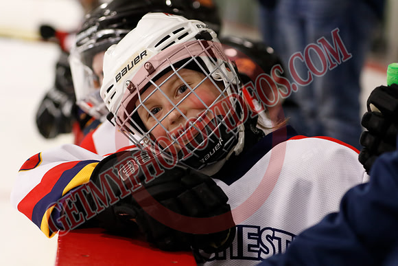 _63A4134_3 30 pm – MD3 – Dorchester vs North Toronto – Eastlink