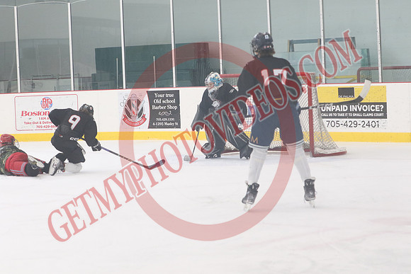 1C2A8081