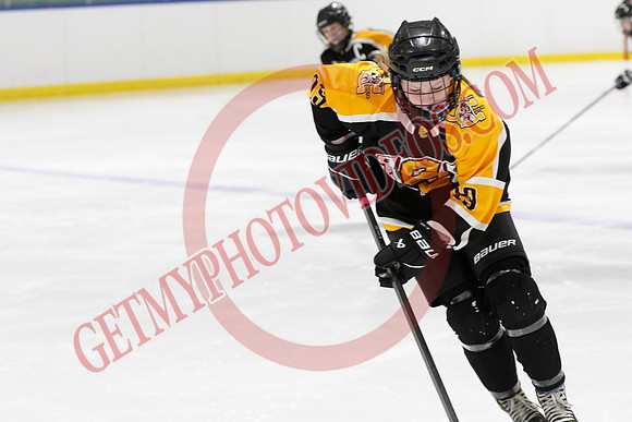 20250310-31702_10 10 am - U13LL -SEMIS- Campbellford vs Woolwich - CENT