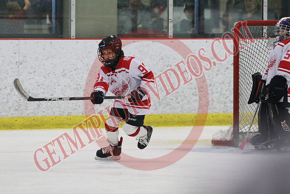 1C2A8216_1 00 pm - U11 - Georgian Shores Lightning vs Schomberg Red Wings - Tri