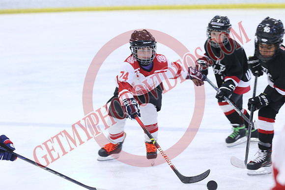 7Z7A0696_1 00 pm - W GM2 vs W GM1
