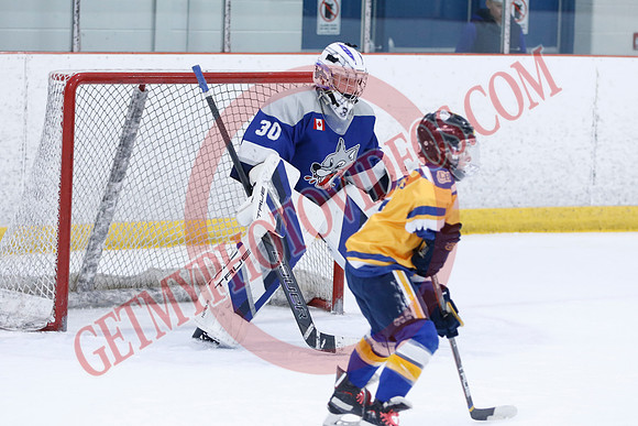 _63A0098_10 15 am - U12A - Collingwood Jr Blues vs Sudbury Wolves - NewRoads
