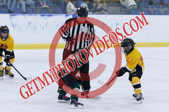 _63A6940_10 05 am - 2016 - Muskoka Moose vs Quinte Golden Bulls - Sel