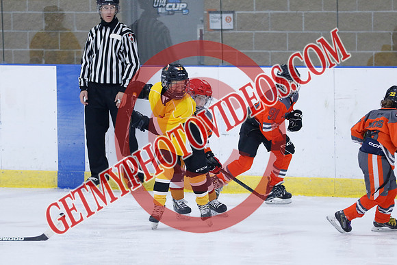 _63A7006_5 05 pm - 2016 - Quinte Golden Bulls vs River Rat Hockey - MNP
