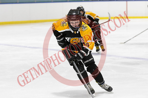 20250310-31700_10 10 am - U13LL -SEMIS- Campbellford vs Woolwich - CENT