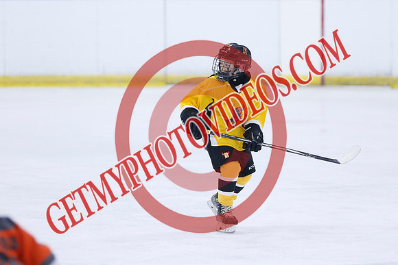 _63A7064_5 05 pm - 2016 - Quinte Golden Bulls vs River Rat Hockey - MNP