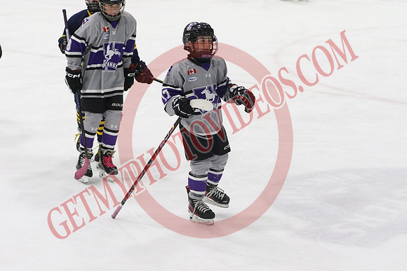 20240601-51657_1 25 pm – U12 A – Erie North Shore Storm vs London Jr Mustangs White – Memorial