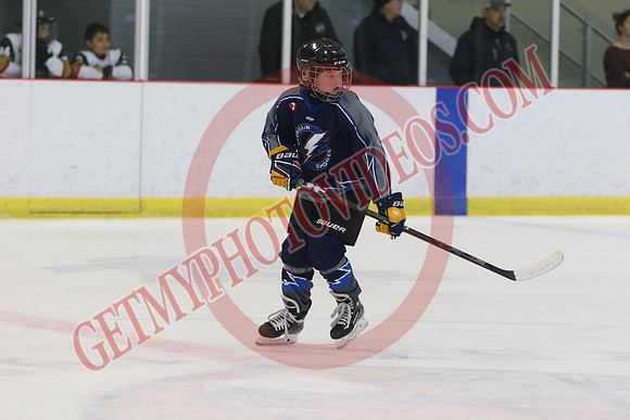 1C2A8994_1 00 pm - U11 - Georgian Shores Lightning vs Schomberg Red Wings - Tri