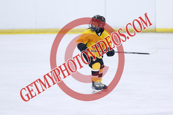 _63A7062_5 05 pm - 2016 - Quinte Golden Bulls vs River Rat Hockey - MNP