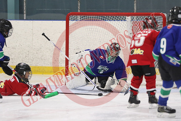 7Z7A3726_7 00 pm – U11 – South Bruce Blades vs Mt Brydges Cougars Red – Tri