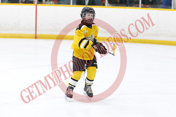 _63A4219_9 00 am - U11 - Millbrooks Stars vs Quite West World Elite Hockey Academy - Pad B