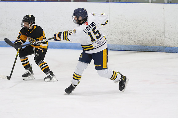 20240531-31722_9 00 pm - U16A - South Oxford Storm vs Whitby Wildcats Blue - MEM