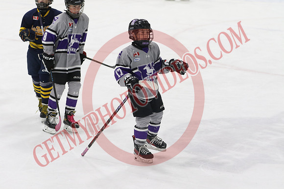 20240601-51658_1 25 pm – U12 A – Erie North Shore Storm vs London Jr Mustangs White – Memorial