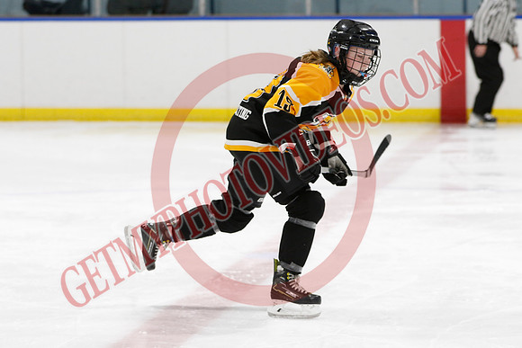 20250310-32178_10 10 am - U13LL -SEMIS- Campbellford vs Woolwich - CENT