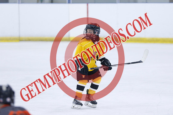 _63A7066_5 05 pm - 2016 - Quinte Golden Bulls vs River Rat Hockey - MNP