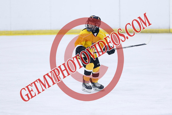 _63A7061_5 05 pm - 2016 - Quinte Golden Bulls vs River Rat Hockey - MNP