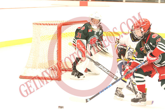 7Z7A9920_8 30 am – North Toronto Green vs Bradford Bulldogs – Atlas East