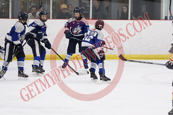 _63A7883_4 40 pm - U12A - Sudbury Wolves vs West Niagara Flying Aces - Atlas