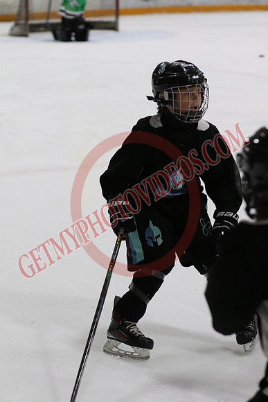 7Z7A0329_5 - 9 50 am - 10 15 am - OHP Hockey Club Blue T2 vs Hamilton Ironmen