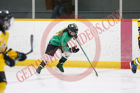_63A2768_9 00 am - U11 - Millbrooks Stars vs Quite West World Elite Hockey Academy - Pad B