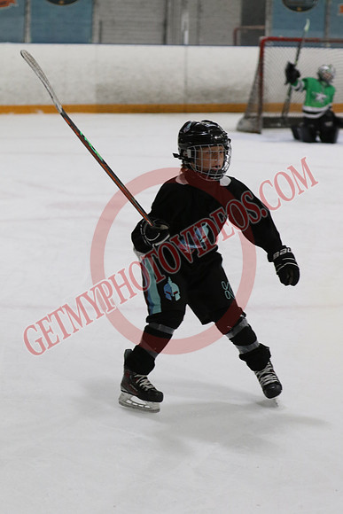 7Z7A0324_5 - 9 50 am - 10 15 am - OHP Hockey Club Blue T2 vs Hamilton Ironmen