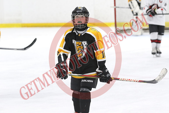 7Z7A9082_2 00 pm - U13LL - Campbellford vs Ayr - CENT