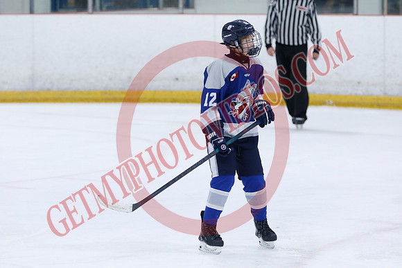 _63A8182_10 15 am - U12A - Collingwood Jr Blues vs Sudbury Wolves - NewRoads