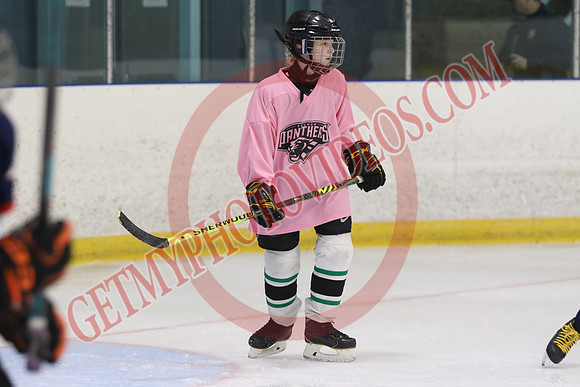 7Z7A3584_8 45 am – U13 – SF – Mount Brydges Cougars Gold vs Pelham Panthers 2– Tri-Township