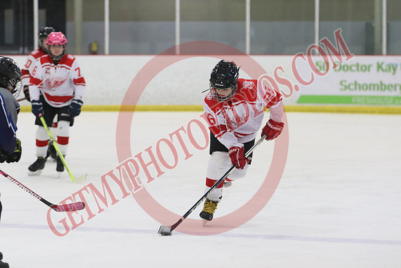 1C2A8838_1 00 pm - U11 - Georgian Shores Lightning vs Schomberg Red Wings - Tri