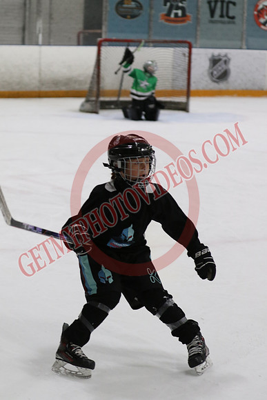 7Z7A0326_5 - 9 50 am - 10 15 am - OHP Hockey Club Blue T2 vs Hamilton Ironmen