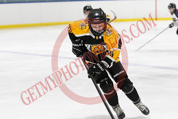 20250310-31701_10 10 am - U13LL -SEMIS- Campbellford vs Woolwich - CENT